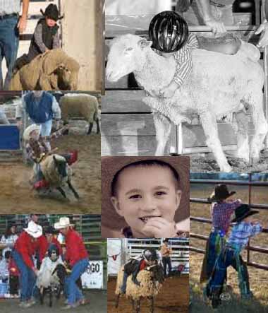 Mutton Bustin' Fun!